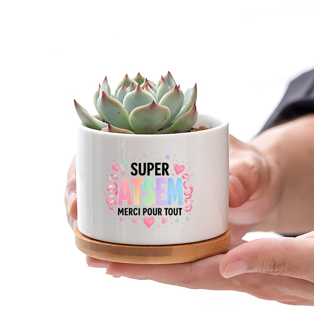 TEMU Vase d'extérieur Super ATSEM Pour Tout Succulent Pot de plantation avec plateau, Cadeau pastel pour l'appreciation des enseignants, Pot de de