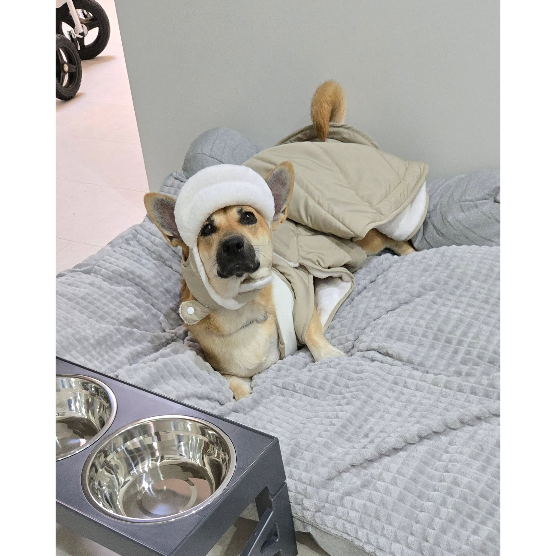 Image of Winter Warm Thick Soft& Comfortable Bed Sofa- Plush Anti-scratch Dog Mattress No Assembly Needed, Orthopedic Dog Couch For Small/medium/large Dogs, Warm Cat Bed For Kittens& Adult Cats In Indoor Home