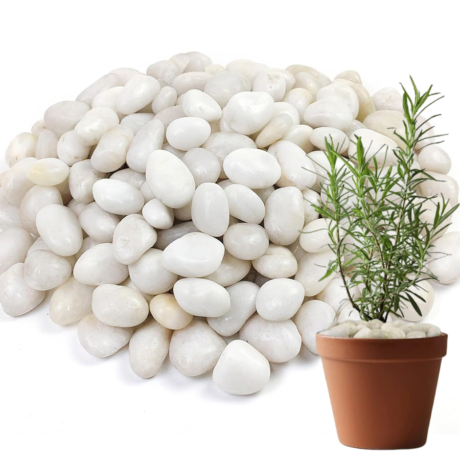 250 Gramos de Guijarros Blancos Brillantes Naturales de 2-3 Cm, Perfectos para Decorar Patios, Jarrones de Plantas, Peceras, Acuarios y Exhibiciones Hortícolas
