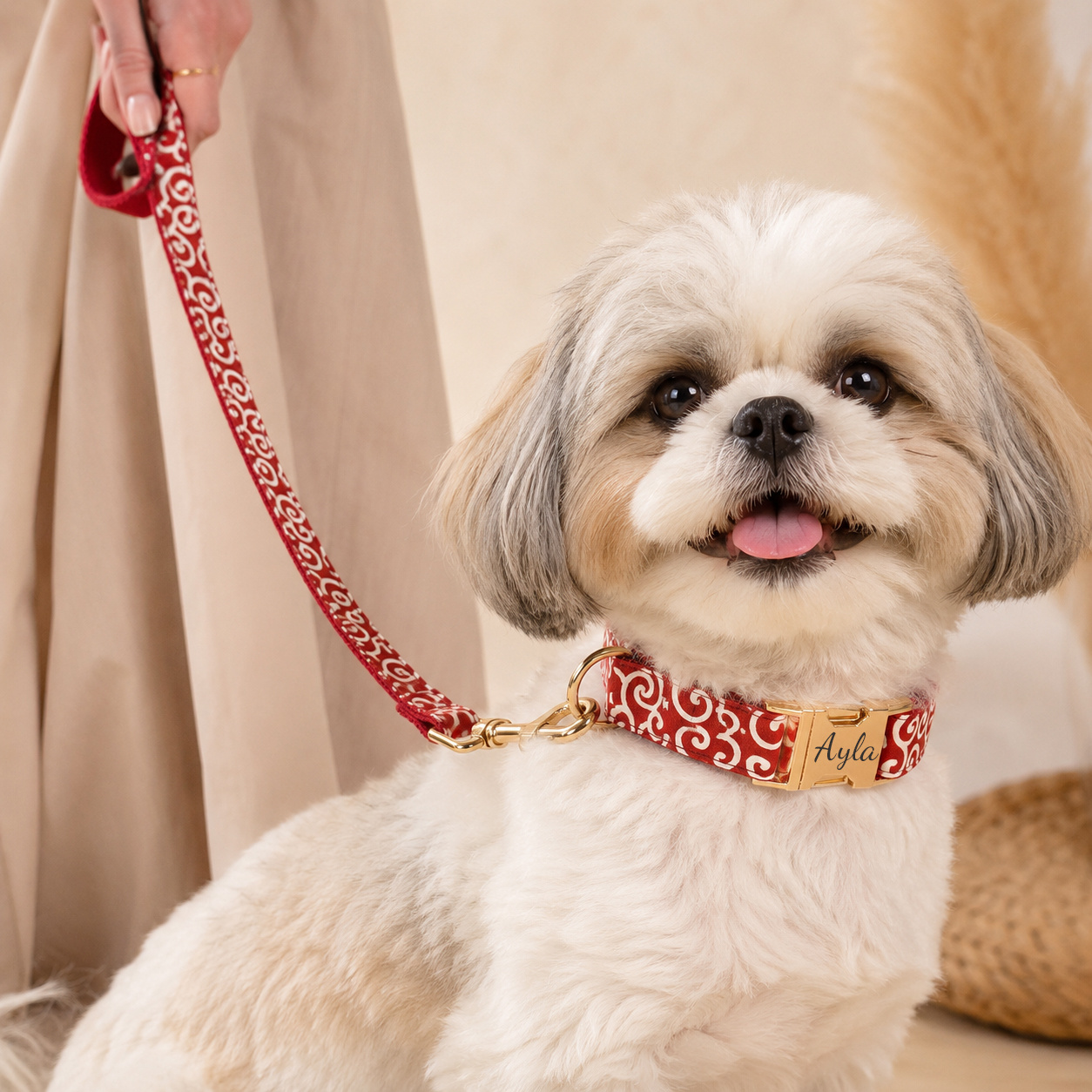 Floral Style Multi-Colored Dog Collar and Bow Leash Set