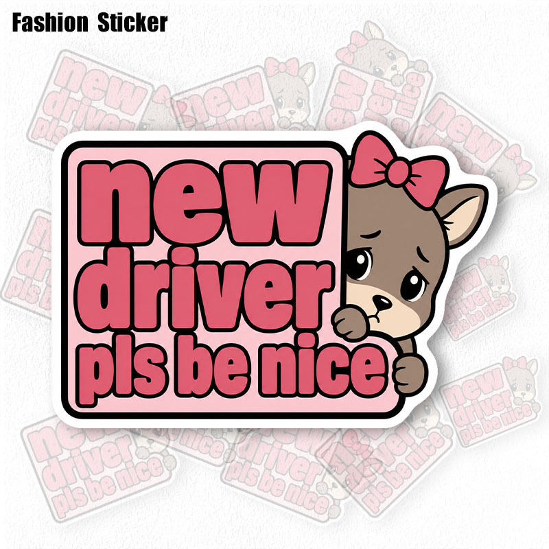 new driver sticker for car sold on Temu United States