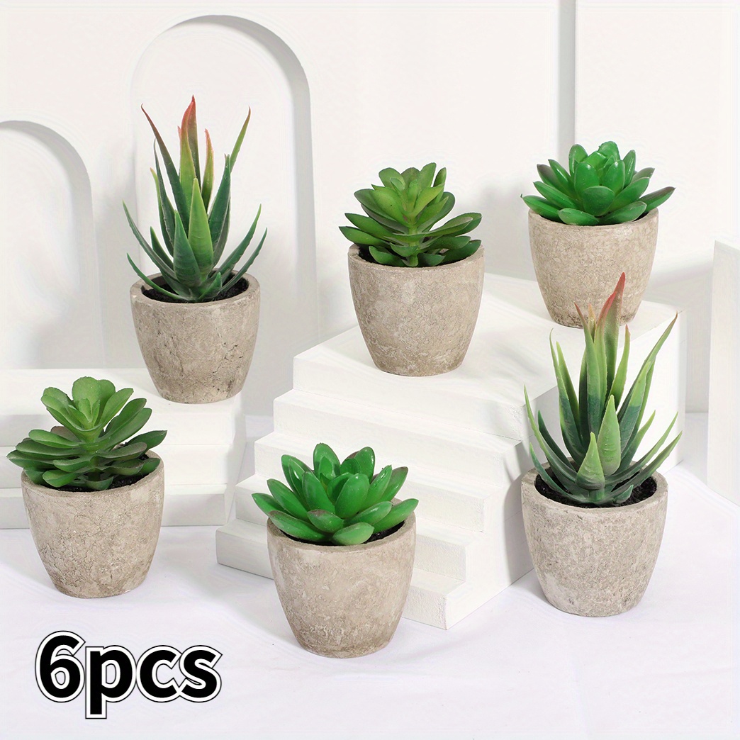3er-Set Knstliche Sukkulenten in Mini-Tpfchen, Kunst-Aloe-Vera mit  Papierpotte, Grohandel, Minimalistischer Industriestil, PP-Material,  PE-Material, Knstlerische Blumen, Dekoration fr ...