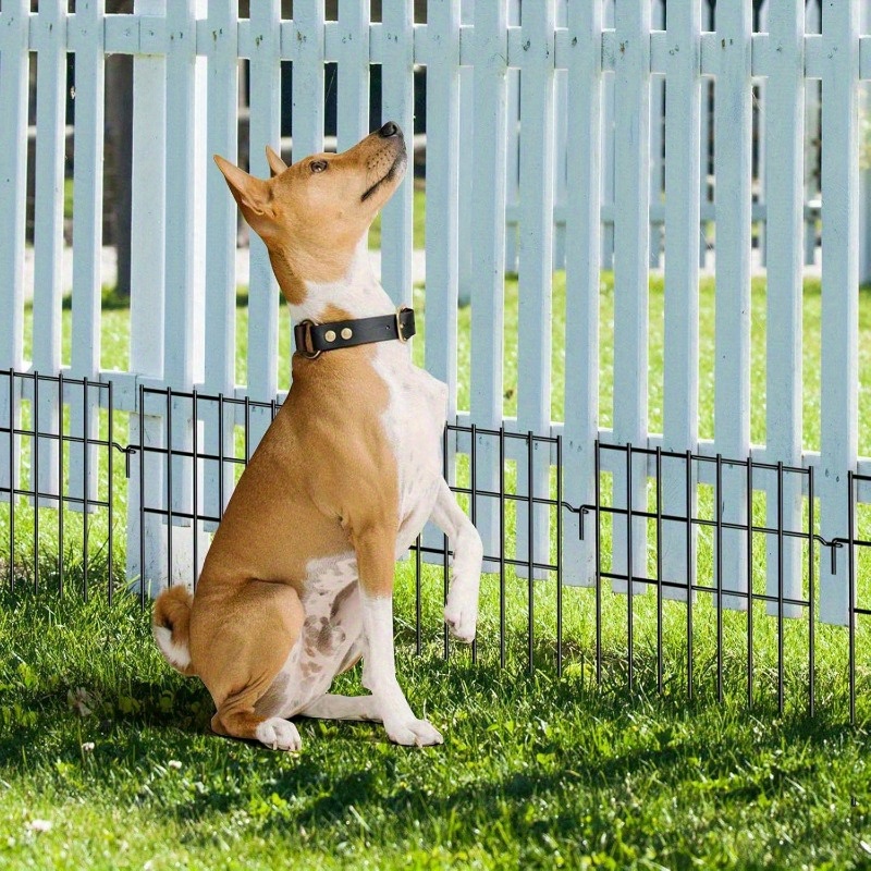 Invisible Fence Small Garden Fences For Dogs Animal Dog Proof