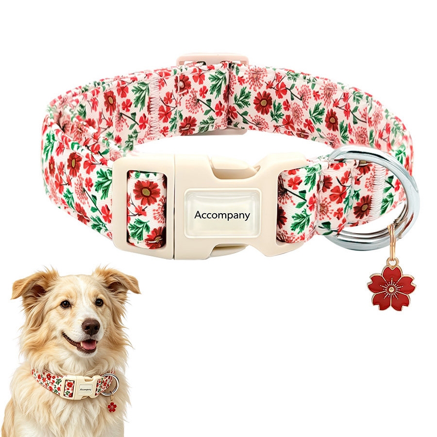 TEMU 1pc Stylish Red Collar With Safety Buckle, No-choke Dog Collar, Daily Leash Accessory, Ideal Gift Choice