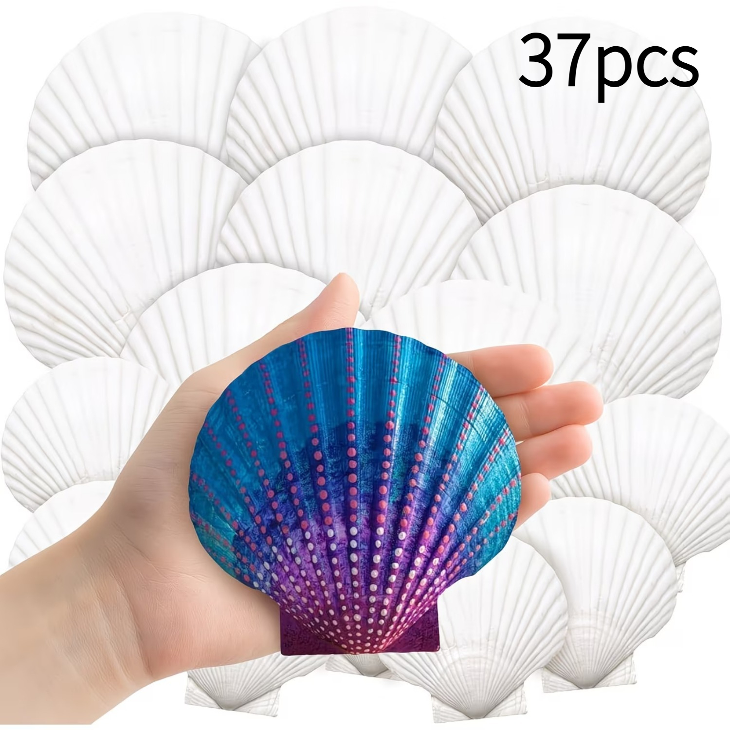 large shells sold on Temu Australia