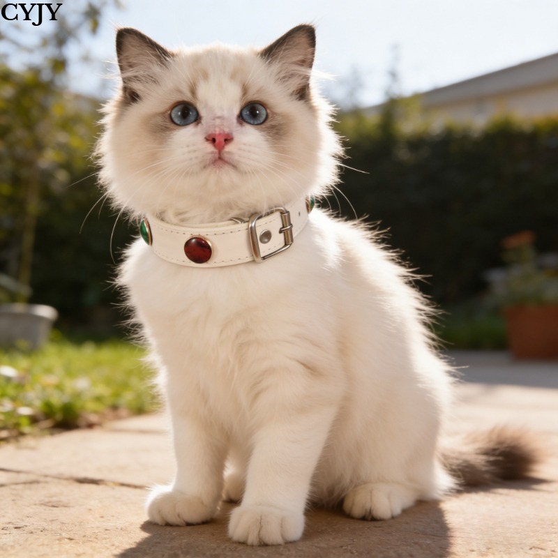 Light Luxury Pet Collar with Colorful Beads