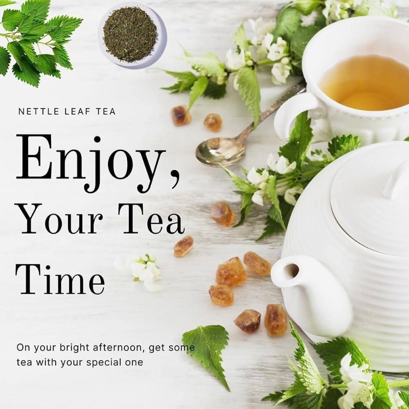 100 g Nettle Leaf Tea | Loose Cut Sifted for Fresh Herbal Infusions, Dried Urtica dioica Leaf by Herbals