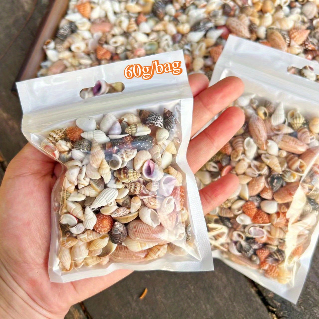 TEMU Mixed Pack Of 12 Styles Of Natural Shells - 60/120g Mini Conch Shells, Suitable For Resin Art, Bohemian Additions, Wind Chimes, Beach Wedding