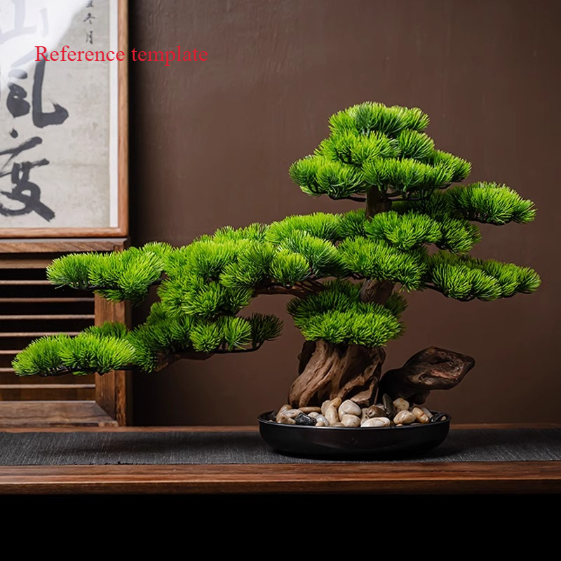 bonsai sold on Temu New Zealand