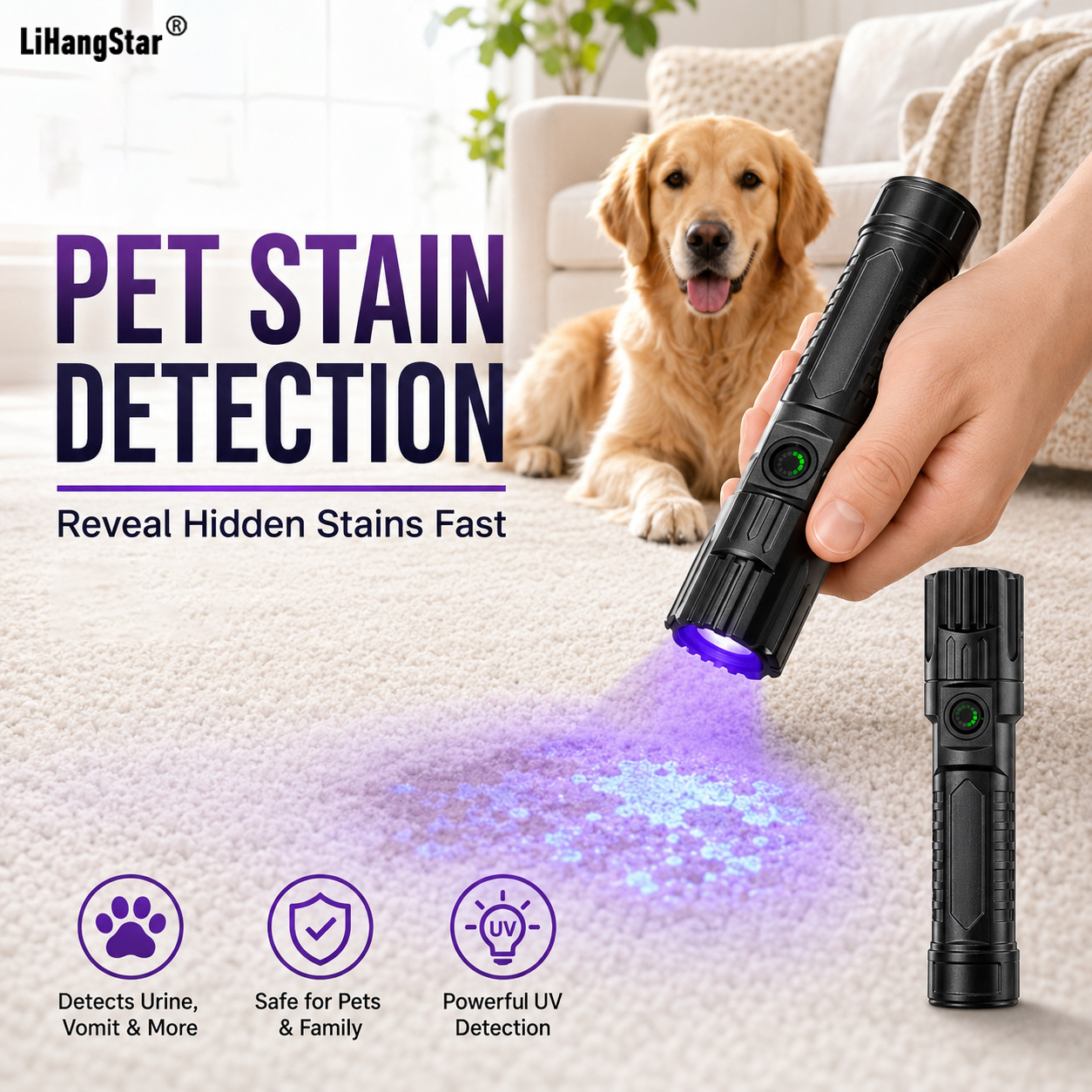 TEMU Usb Rechargeable Uv Flashlight, Portable Tactical Uv Detection Light, Ideal For Detecting Pet Stains, Catching , Hotel , Detecting Car Ac Leaks,