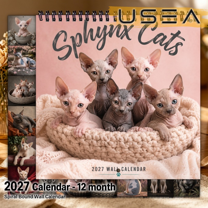 TEMU Hanging Wall Calendar,12 Month Wall Calendar, Twin Wire Calendar, Monthly Planner With Large Blocks, Sphynx Cats Aesthetic Wall Decor, Yearly