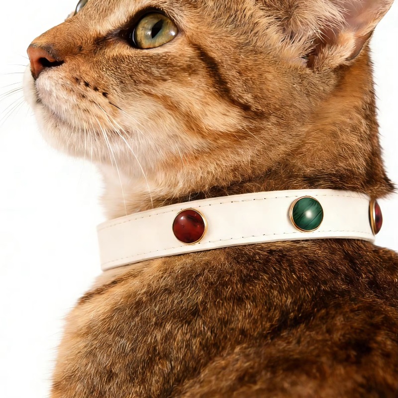Light Luxury Pet Collar with Colorful Beads