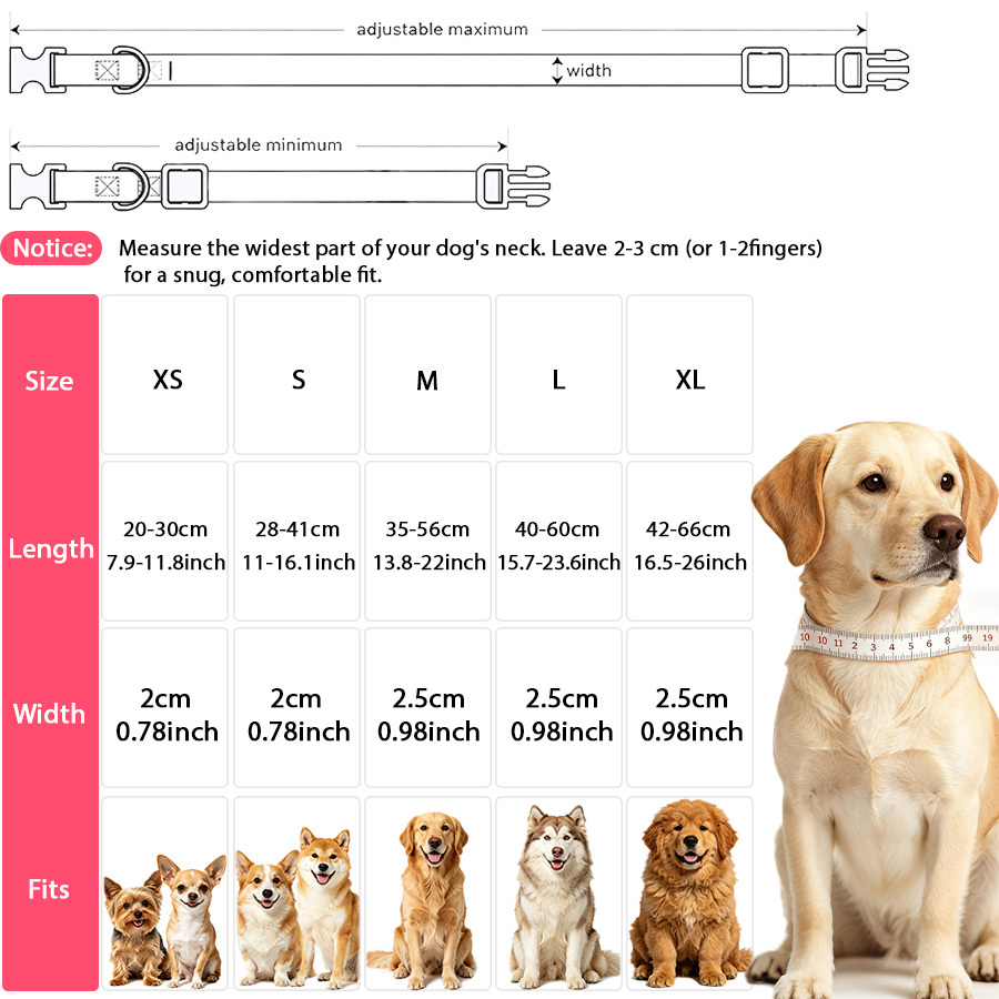 Fresh Floral Print Dog Collar for Spring Strolls