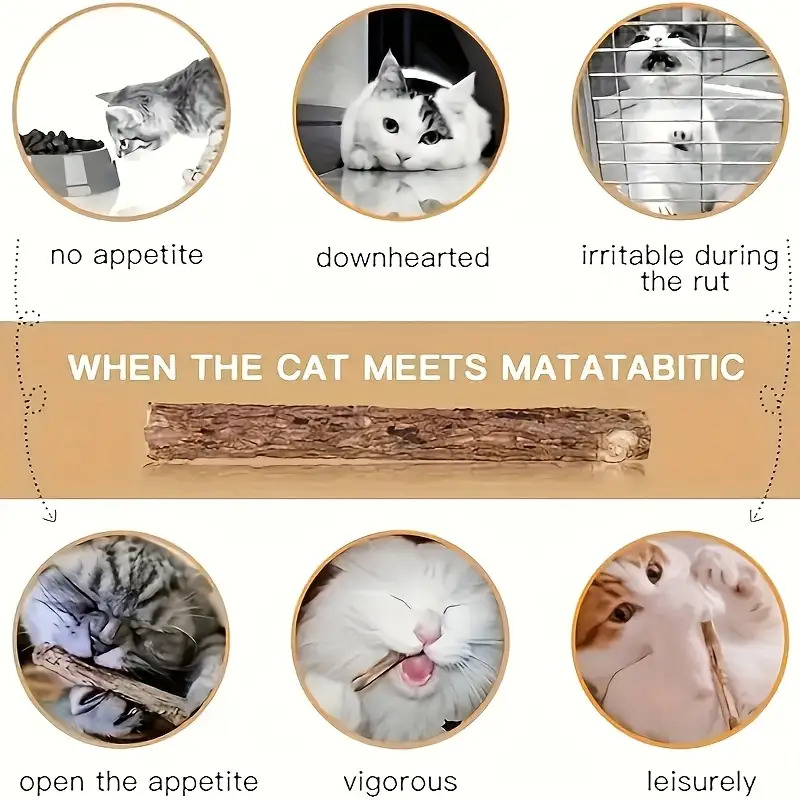 Ensemble de 40 pièces Chat Morsure - Jouet de santé dentaire et de relaxation avec parfum frais, Sûr et non toxique, Aucune pile requise, Convient aux jeux d'intérieur et aux cadeaux apaisants pour multi-chat