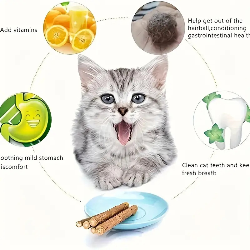 Ensemble de 40 pièces Chat Morsure - Jouet de santé dentaire et de relaxation avec parfum frais, Sûr et non toxique, Aucune pile requise, Convient aux jeux d'intérieur et aux cadeaux apaisants pour multi-chat