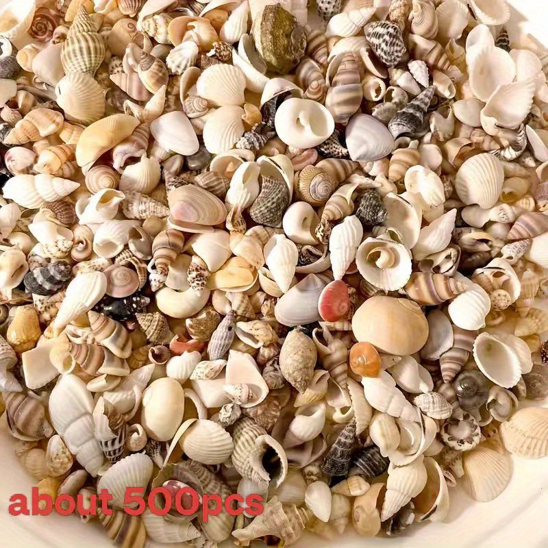 100/500pcs Conchas Miniatura Surtidas - Empaquetado Multicolor, Ideal para Manualidades, Pinturas Decorativas, Adornos de Jarrones y Proyectos DIY | Aspecto Natural | Variedad de Conchas, Decoración con Mariscos
