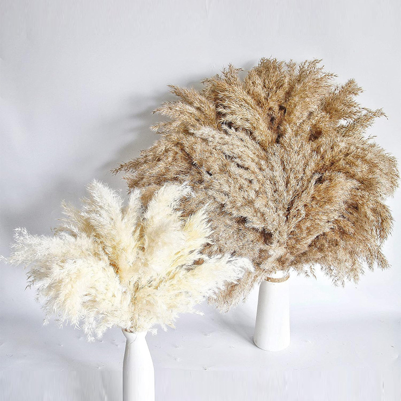 16pcs Bohemian Decoration Set, Soft Synthetic Pampas Grass, Small Faux Flowers, Short Pampas Grass In Bulk For Bohemian Room Styling And Coffee Table Decoration