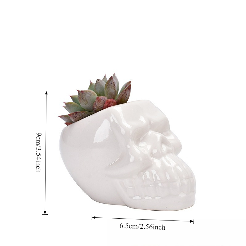 Vaso Per Piante A Forma Di Dente In Ceramica Bianca – Ideale Per Succulente, Portapenne O Organizer Da Scrivania