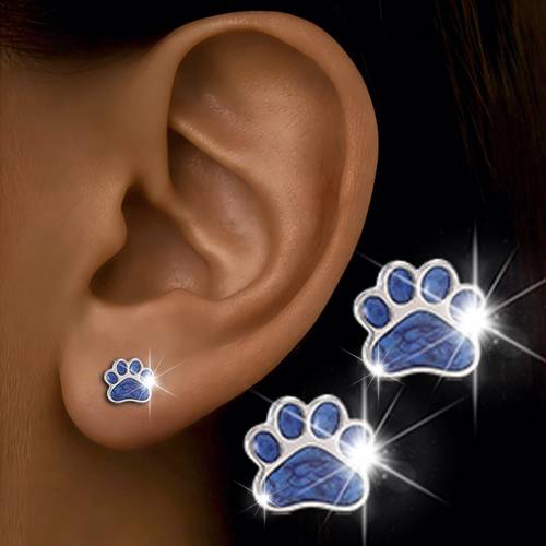 item picture 2pcs vintage inlaid resin cute blue cat paw print stud earrings fashion spring summer exquisite jewelry additions wearable holiday wedding banquet party use