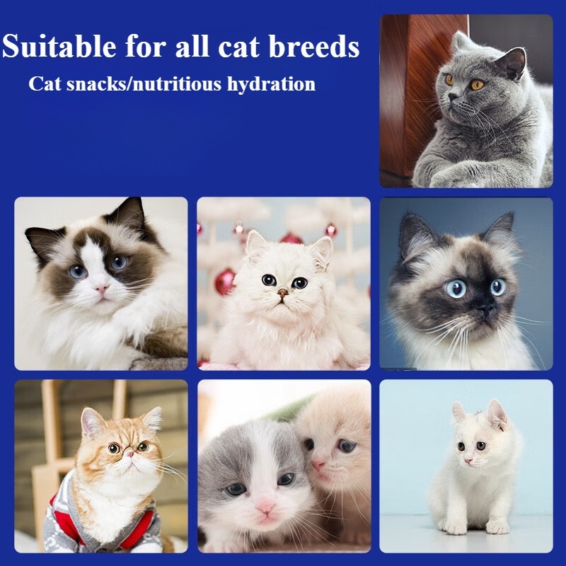 100pcs cat snacks one weighing 0 56oz 16g cat fattening nutrition strip 20 mixed cat strips in each of five flavors chicken egg yolk salmon fish roe cod fish roe abalone beef   roe Product details 4