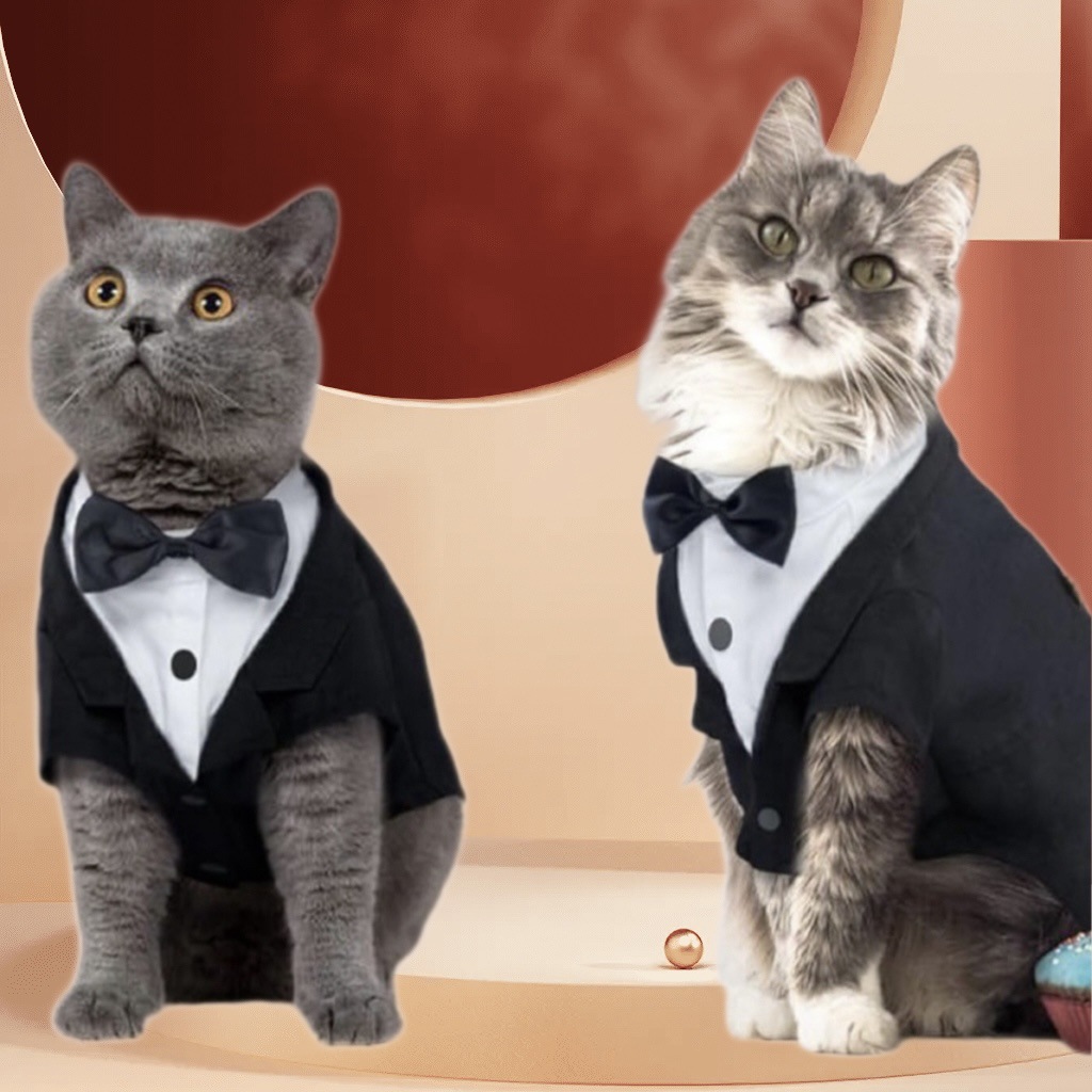 cat suit sold on Temu United States