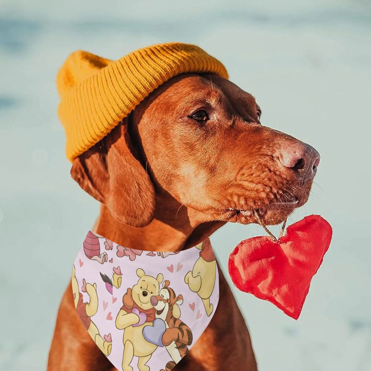 Hundehalstuch-Set – 2 Stück Weiche Schals Für Kleine, Mittlere & Große Hunde