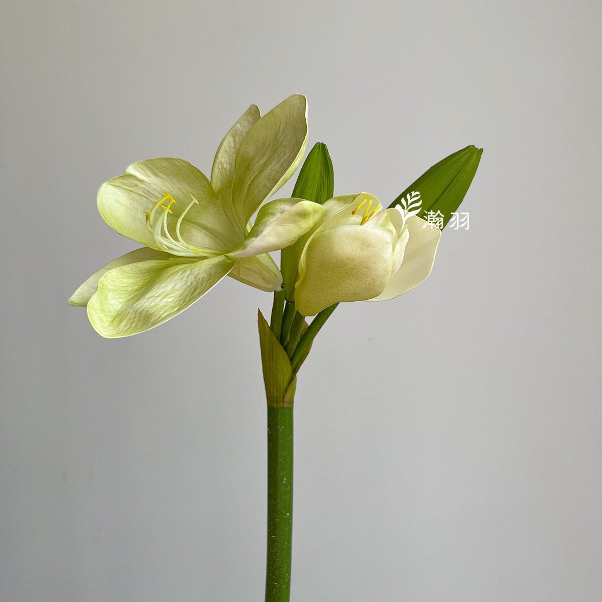 Image of 1pc, Pu Clivia Artificial Flowers Home Decoration Photo Props Wedding Dining Table Bouquet Fake Flowers Scene Arrangement Wholesale
