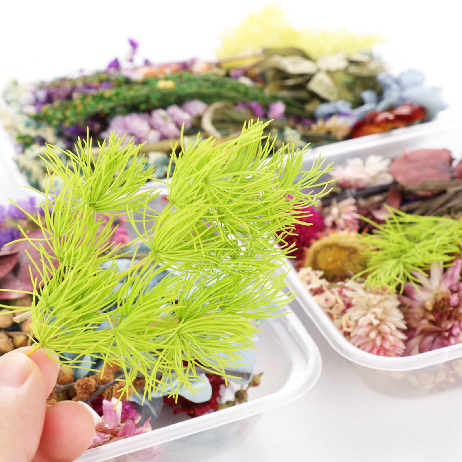 Of Random Color Dried Flowers, Suitable For Handmade Candle Making, Dried Flower Resin Jewelry Pendants, Handmade Floral Greeting Cards, Photo Frames, Etc., Can Decorate And Halloween