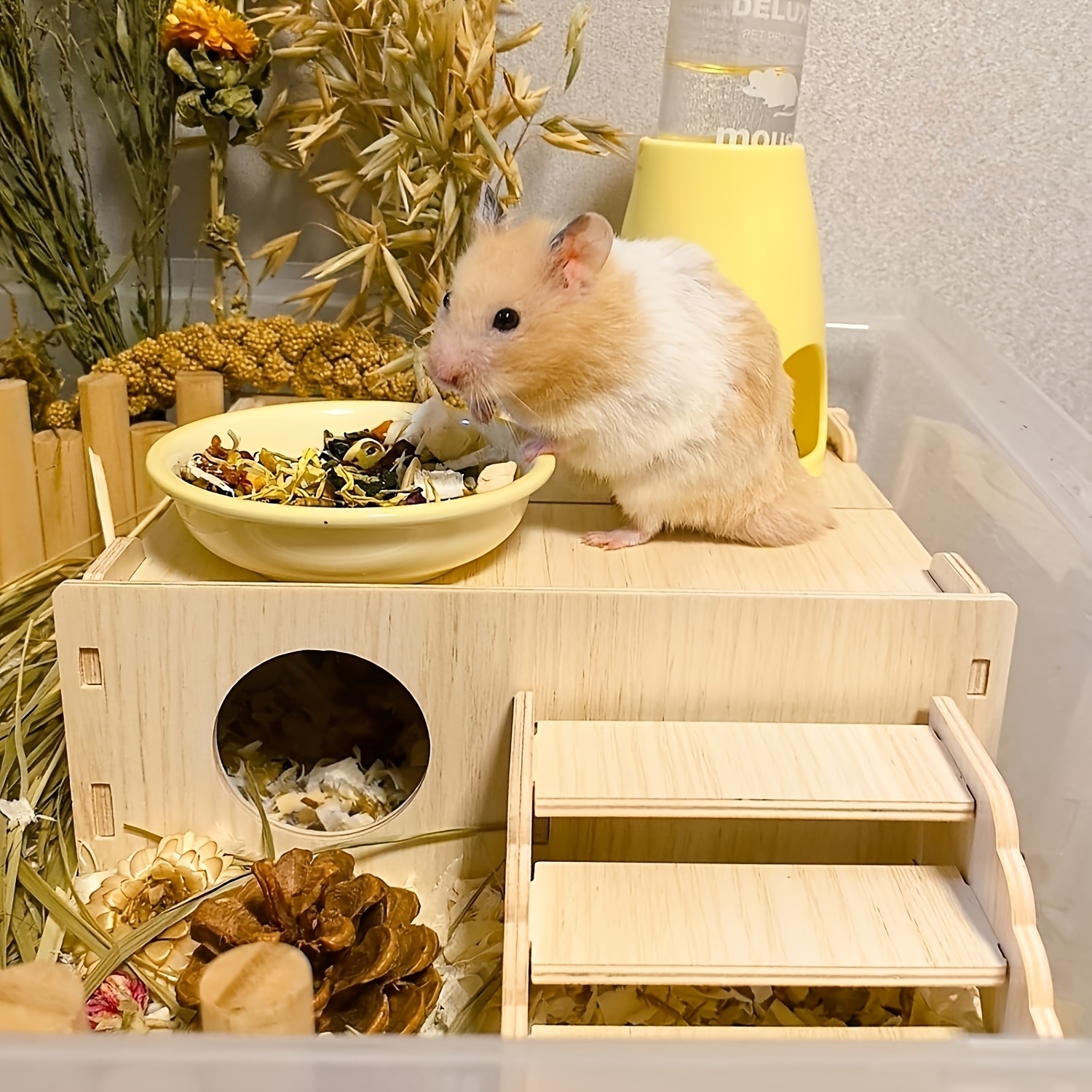 Multi-Compartment Wooden Hamster Hideout with Climbing Ladder