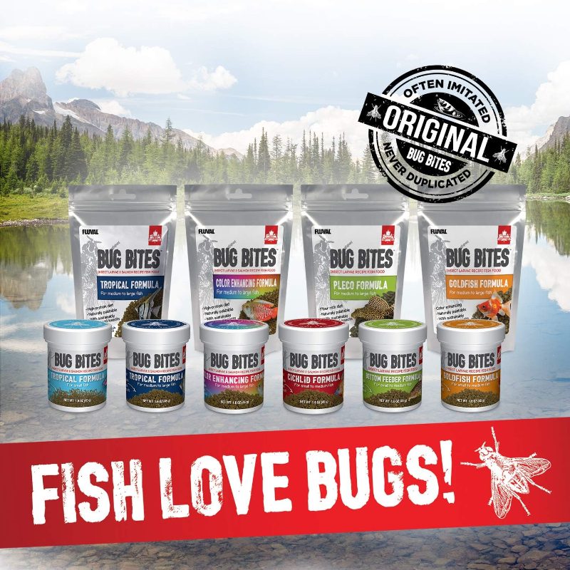 1.59oz Fluval Bug Bites Tropical Fish - Small Granules, Insect-Based Aquarium Diet with Protein for Fish, Shrimp, Mollies, Guppies, Platies - Fish Supplements for & Aquariums (Compatible with) - Image 7