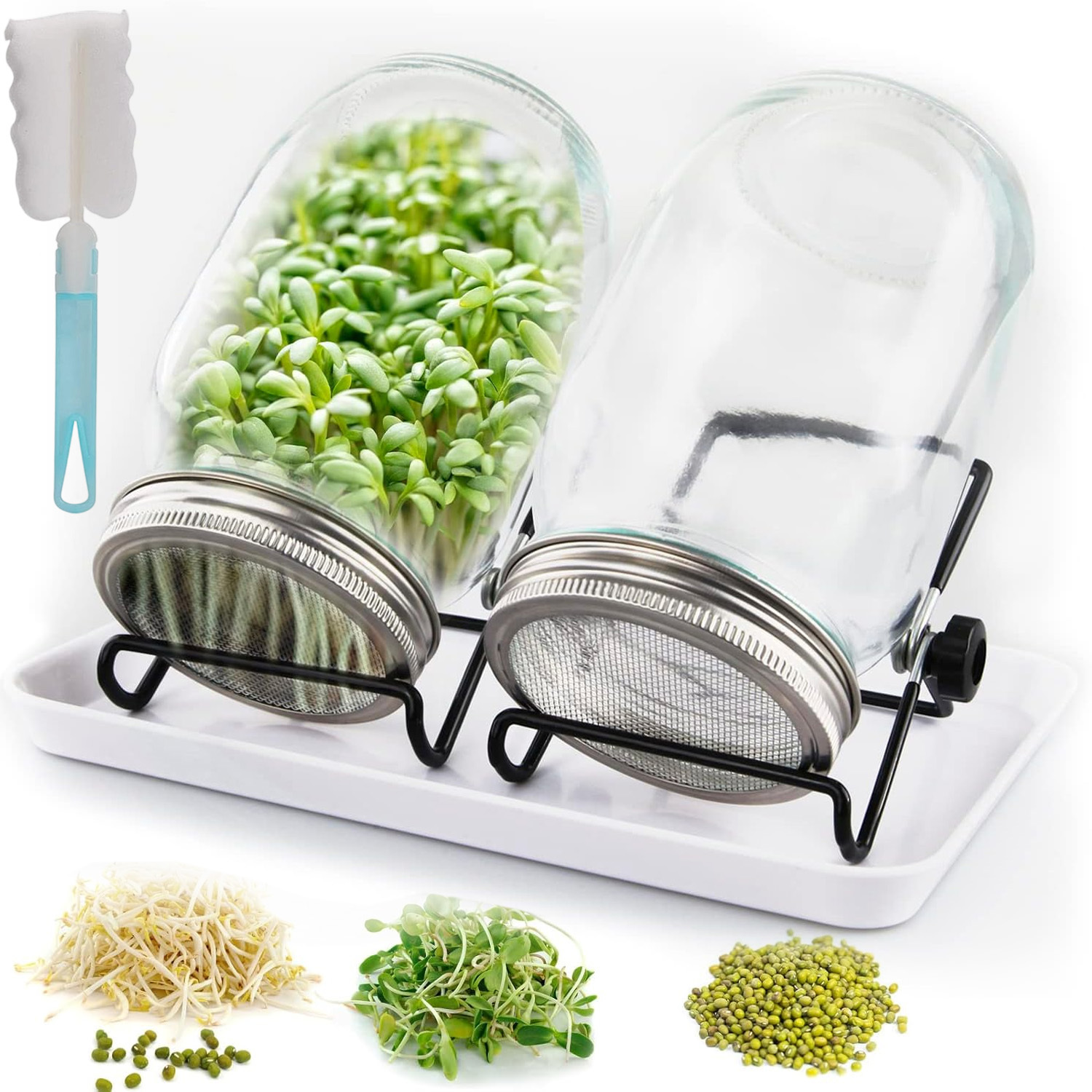 TEMU 2 Stück -Wachstumsglas-Set, Weitmund-Quartzgläser mit Edelstahl-Siebdeckeln, 85 mm, 950 ml, Ständer, Tablett Einmachbürste, -Set für Brokkoli,