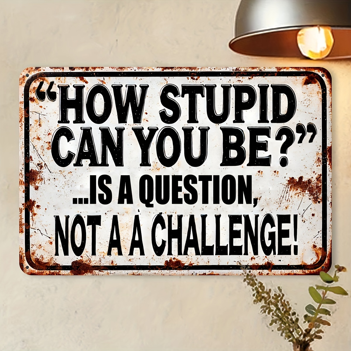 TEMU 2d Flat, [2d Flat] 2d Flat, 2d Flat Decorative Signs& Plaques Humorous Vintage "how Stupid ?" Aluminum Sign- 8.0x12.0inch, Rustic Metal Wall