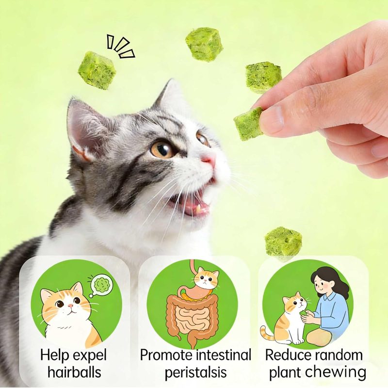 260G Grass Treats, Chew Toys Natural Dried Snacks Grinding Rod Indoor Kitten, Edible Molar Toys Teeth Cleaning Hairball (Grass Granules)