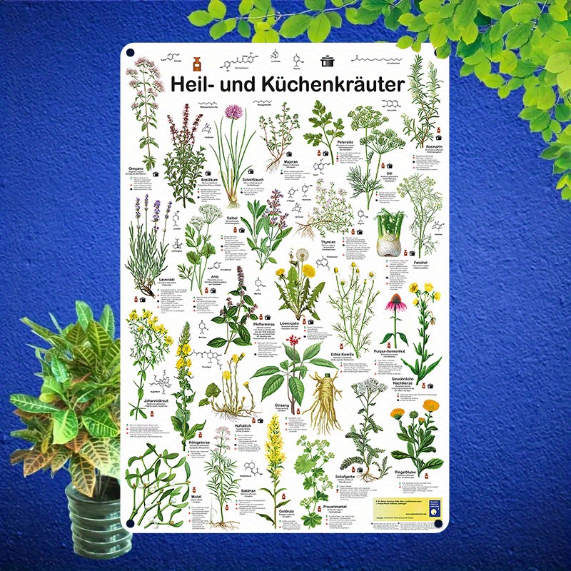 E-shop 2D Flach, 1 Stück Vintage Deutsche Kräutertabelle – Heil- & Küchenpflanzen Wanddeko – Metall Kräuterliste mit Englischen & Lateinischen Namen,