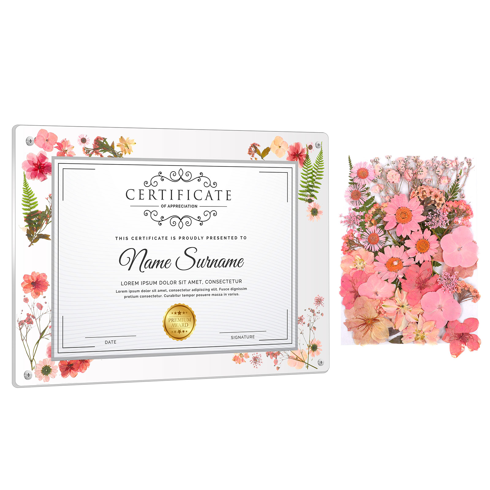 degree frame sold on Temu United States