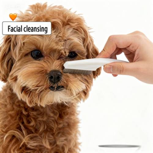 2 pet face comb set white pp material fine teeth for cleaning pp material fine tooth design rounded tooth tips do not scratch the pets delicate facial comb the hair roots accurately removes lice