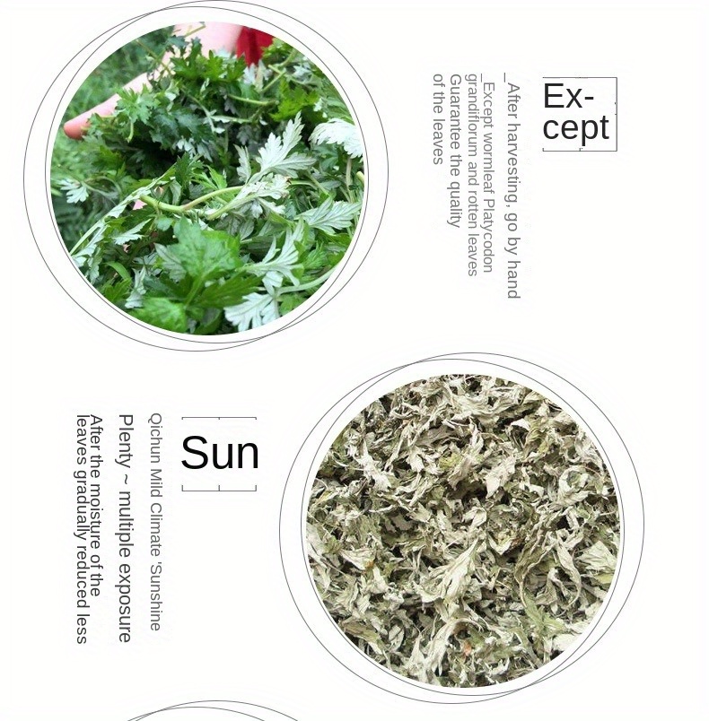 10-pack box of Qichun Chen Ai Chuan (a type of traditional Chinese medicine) - Ai acupuncture for health preservation and wellness care. Qichun Ai Chuan (a kind of traditional Chinese medicine) - 10-year-old Ai herb Ai Chuan. Suitable for home care and wellness preservation.