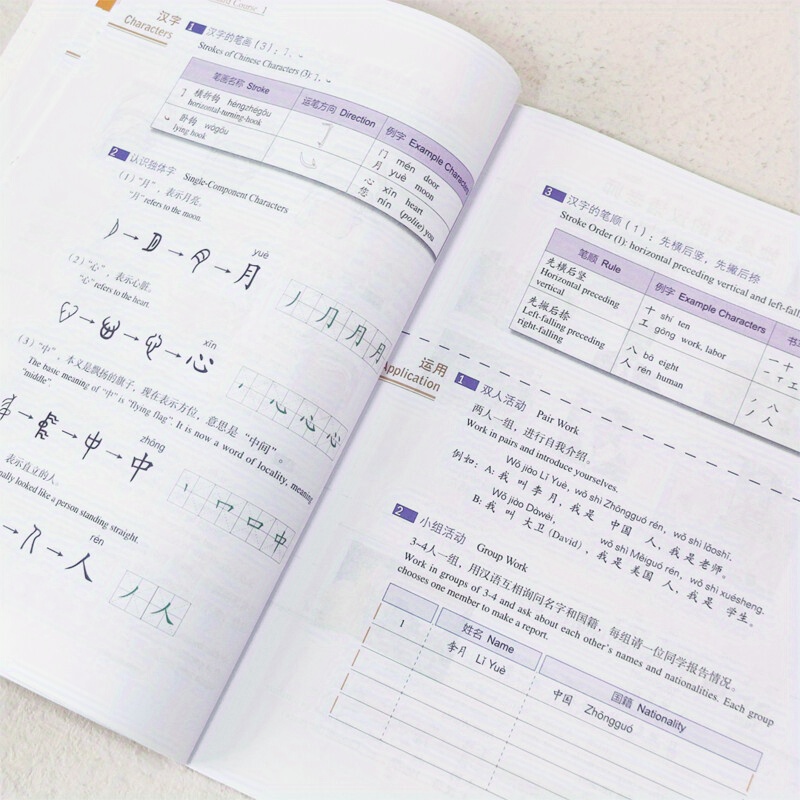 hsk standard chinese chinese version temu - Temu