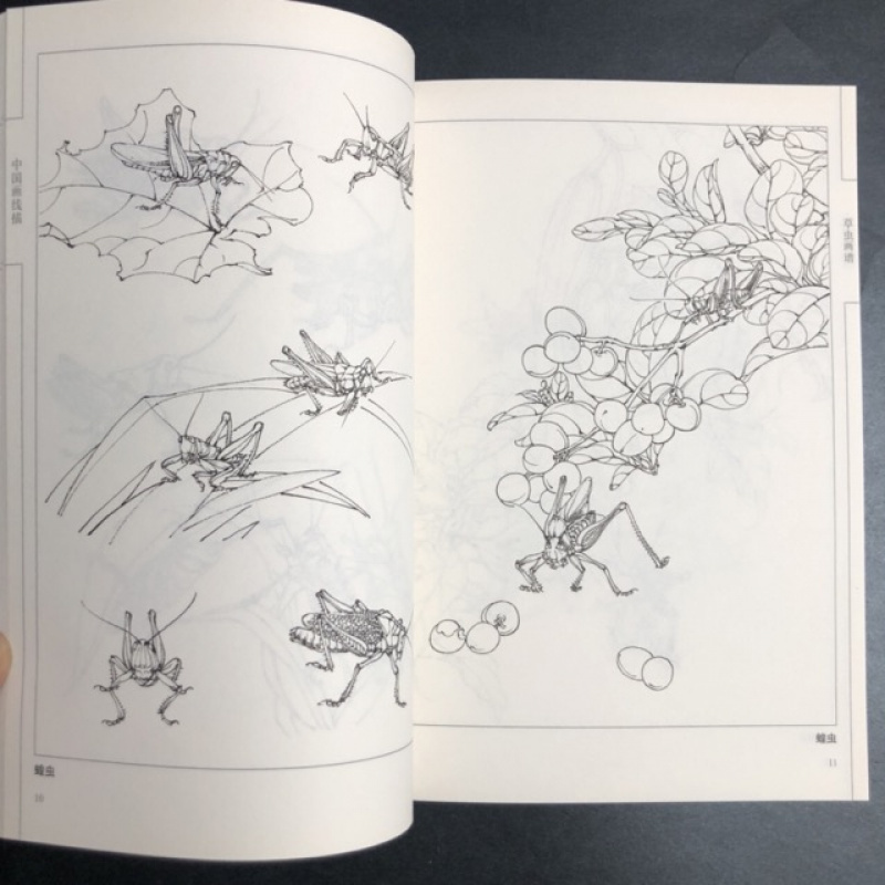 Chinese Line Drawing Grasshopper Painting Book: Beginner's Guide to Traditional Chinese Art, Sketching for Relax - DIY Coloring Book for Teens and Adults, Watercolor, Ink Wash, Oil Painting Chinese Version
