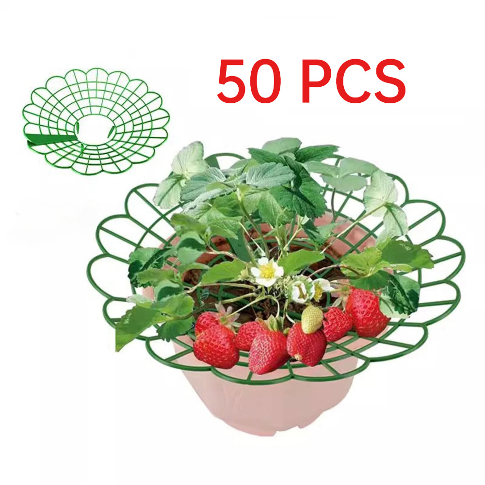 50pcs Strawberry Growing Racks Surrounding Design For Greenhouse Planting Home Gardening