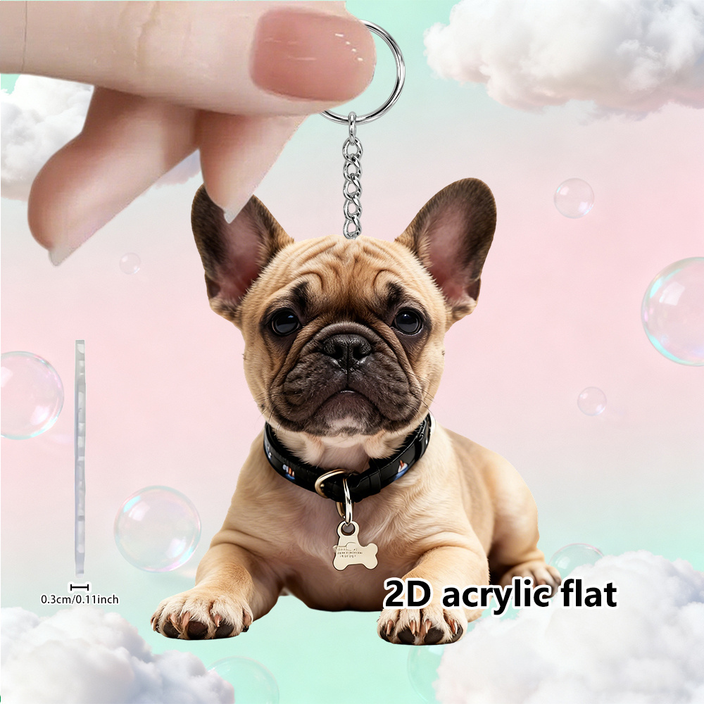 TEMU 2d Flat - A 2d Acrylic Keychain | A Delicate And Stylish Accessory With Fun Elements | The Perfect Creative Gift For Decorating Bags, Keychains,
