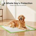 50 100 pack extra large 34 x28 dog pads jumbo size disposable puppy training pads with 6 layer leak proof design super absorbent heavy duty quick pads for large breed dogs housebreaking senior pets