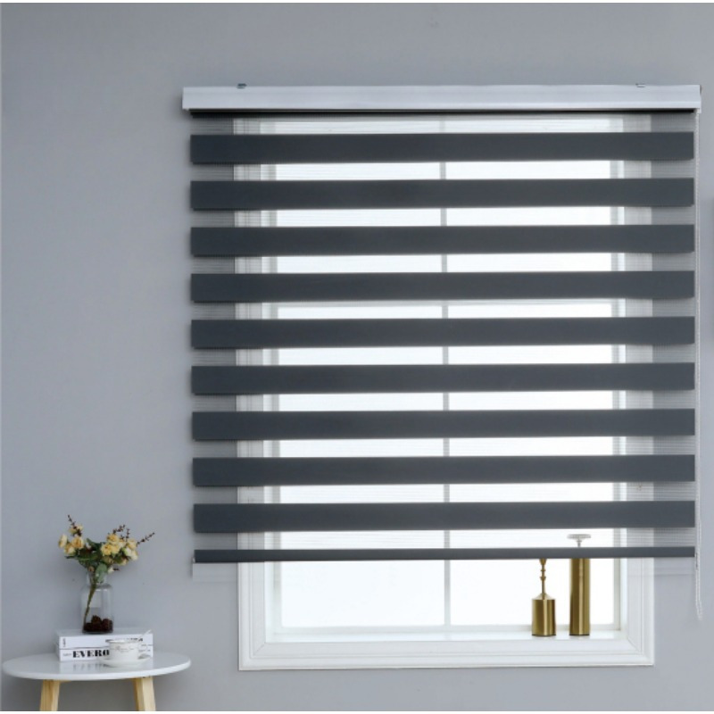 TEMU Blinds Roll Curtain Blinds Blackout Double-layer Roller Shutter Windows Home Office Blinds