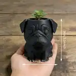 可爱巴哥犬盆栽,3D打印多肉花盆,潮流家居装饰,宠物爱好者理想的美学桌面阳台花园礼物