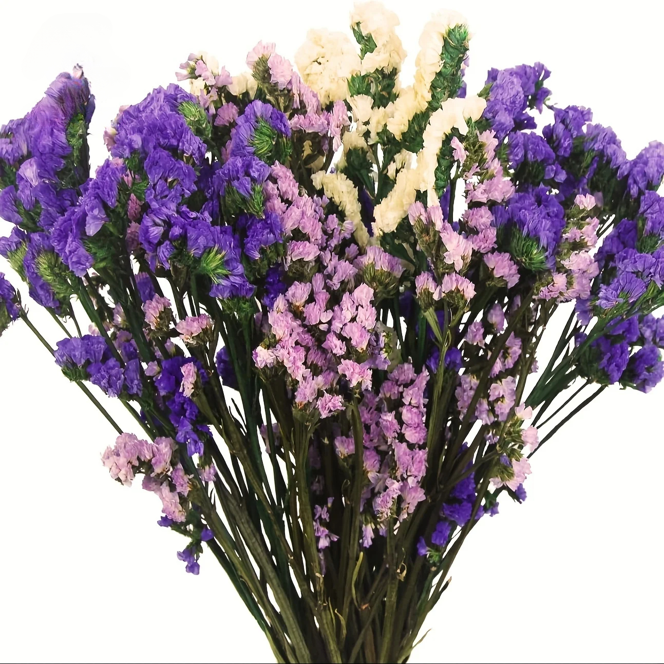 9pcs Dried Mixed Eternal Preserved Flowers -me-not Gifts For Couples Natural Dried Floral Wedding Souvenirs Aesthetic Decor