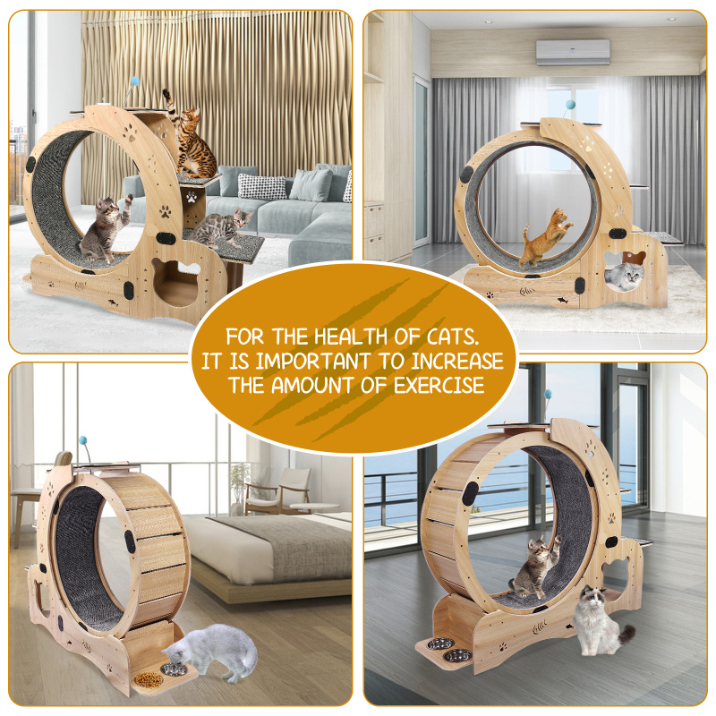 cat wheel in cat exercise wheel cat wheel Temu