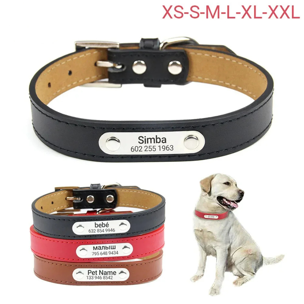 

Collier de chien en cuir personnalisé avec gratuit, motif solide, badge de nom de compagnie pour chiens, chats de petite à extra-large taille - Tailles XS-XXL disponibles