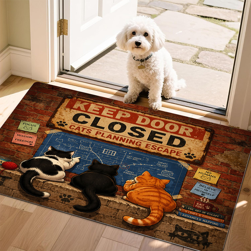 cat door mat sold on Temu United States