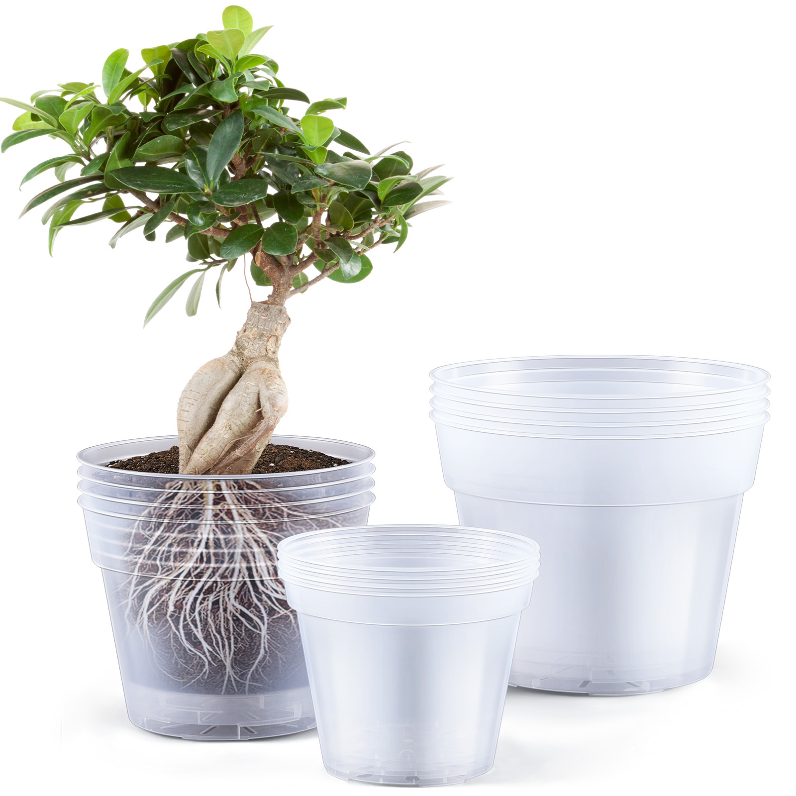 custom plant pot Custom Pet Ceramic Pots Personalized Flower Pots with Pictures– The Pet  Pillow
