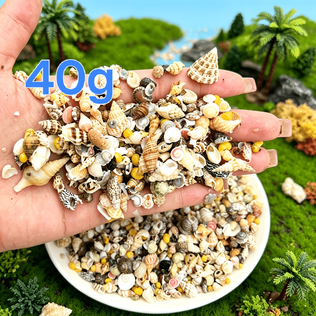 TEMU Mixed Mini Seashells, Starfish And Snails, Assorted Ocean Decor For Fish Tank, Vase Filler, Micro Landscape, Wedding Table Centerpiece, Beach